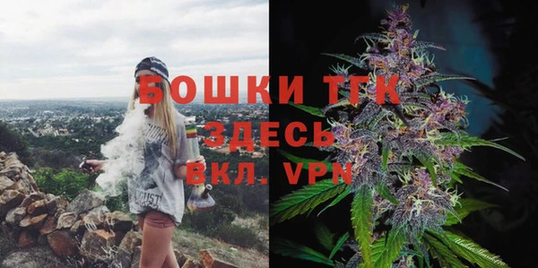 винт Аркадак