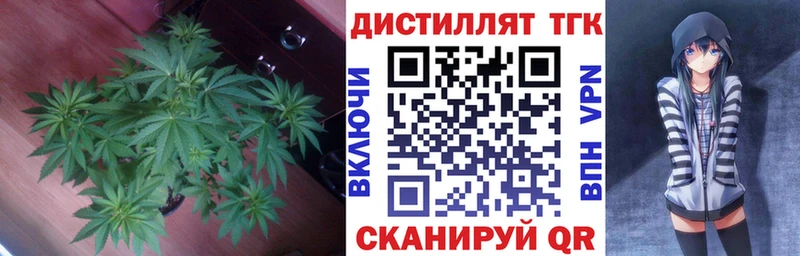 где купить наркоту  Павлово  Дистиллят ТГК Wax 