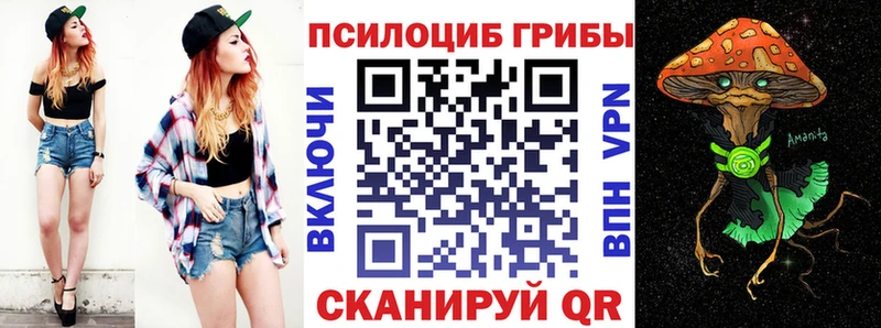 где купить   Павлово  ОМГ ОМГ зеркало  Галлюциногенные грибы прущие грибы 